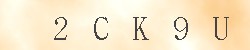 Control code